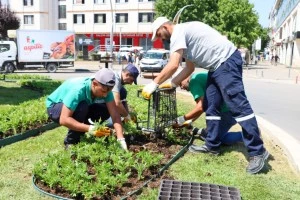 EKİPLERİMİZDEN ÇİÇEK DİKİMİYLE KENTE RENKLİ DOKUNUŞ