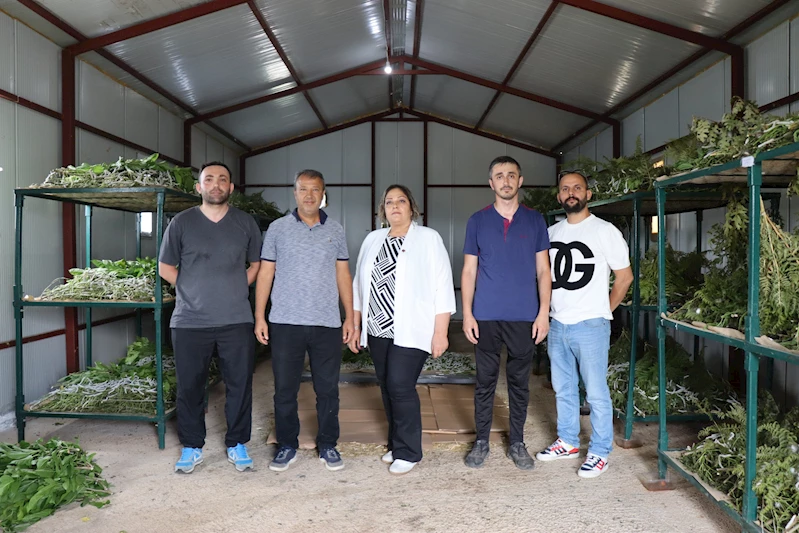 İZMİT BELEDİYE BAŞKAN YARDIMCISI NESLİHAN ÇAKIR’DAN KIRSAL KALKINMA ALANLARINDA İNCELEME