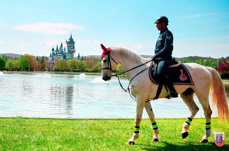JAKEM Atlı Jandarma Timleri Türkiye