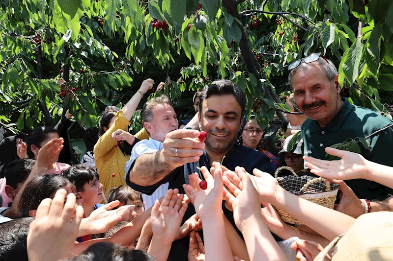 Bağcılar’da Kiraz Festivali Coşkusu