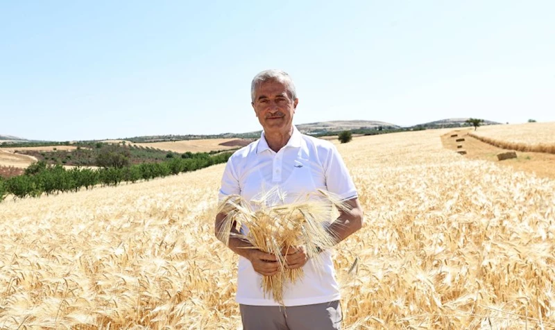 Başkanımız Çiftçi´nin Hasat Sevincine Ortak Oldu