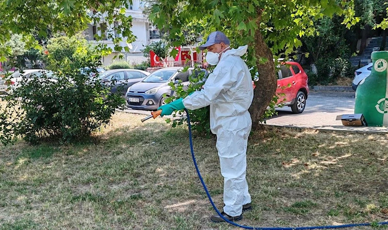 İBB’DEN SAHADA KENELERLE AKTİF MÜCADELE