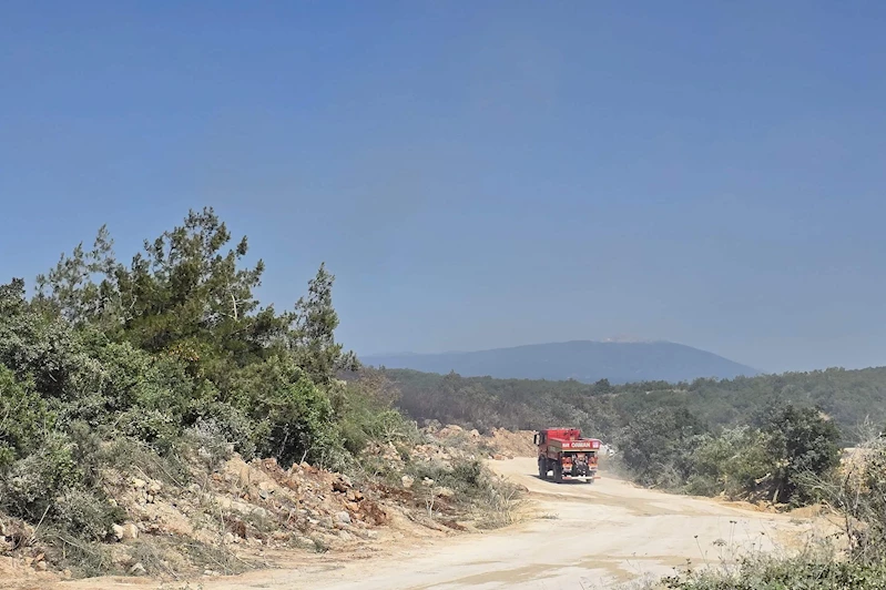 Nilüfer’de yangın başarıyla söndürüldü