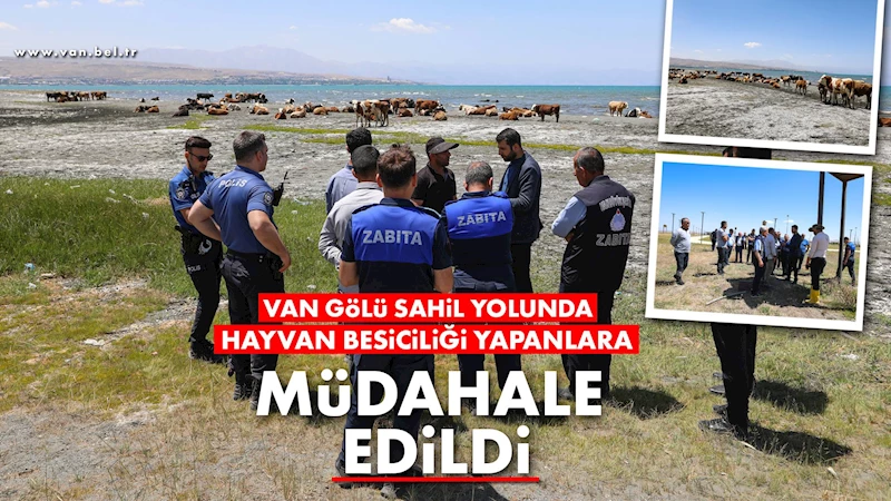 VAN GÖLÜ SAHİL YOLUNDA HAYVAN BESİCİLİĞİ YAPANLARA MÜDAHALE EDİLDİ
