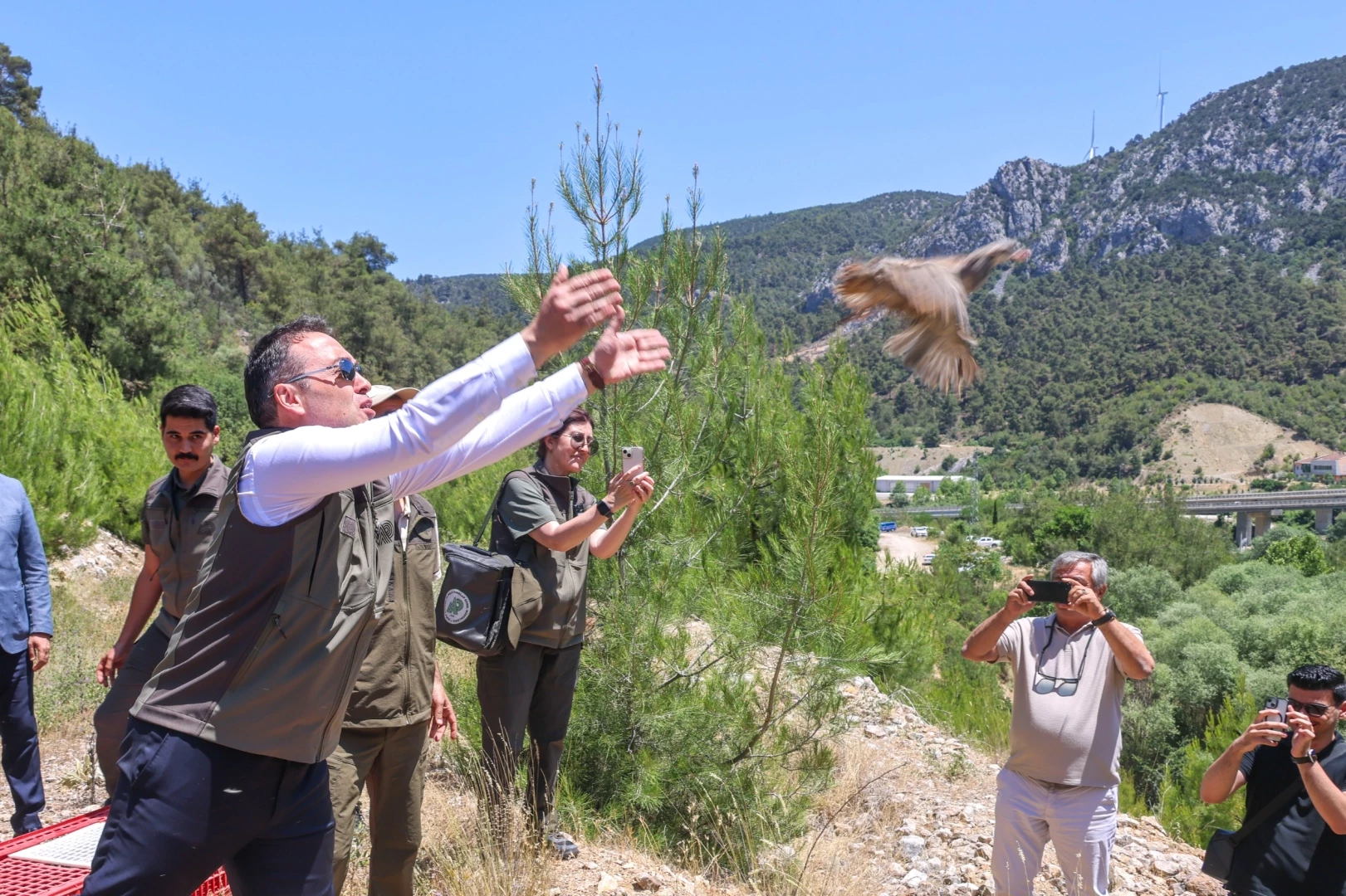 Bilecik’te 300 kınalı keklik doğaya salındı