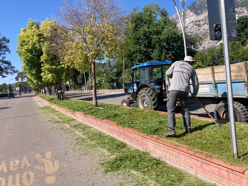 Kemer’de yeşil alanlarda bakım çalışmaları
