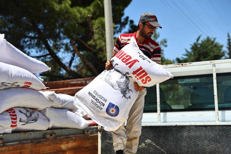 Büyükşehir’den yem desteğiyle süt üretimine güçlü katkı