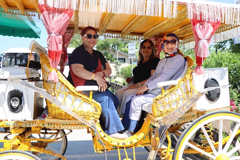 İZMİT BELEDİYESİNİN ASIRLIK ÇINARLARI SAPANCA’DA DOĞAYLA BULUŞTU