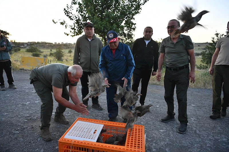 Başkan Büyükkılıç, Sabah Yürüyüşünde Keklikleri Doğaya Uğurladı
