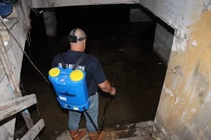 LARVA MÜCADELESİNE HIZ KESMEDEN DEVAM