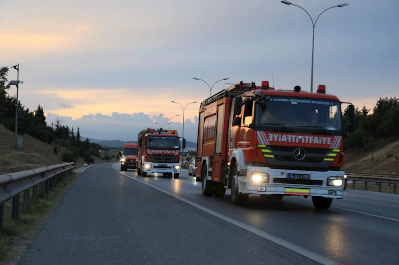 SAKARYA VE BİLECİK ORMAN YANGINLARINA MÜDAHALE