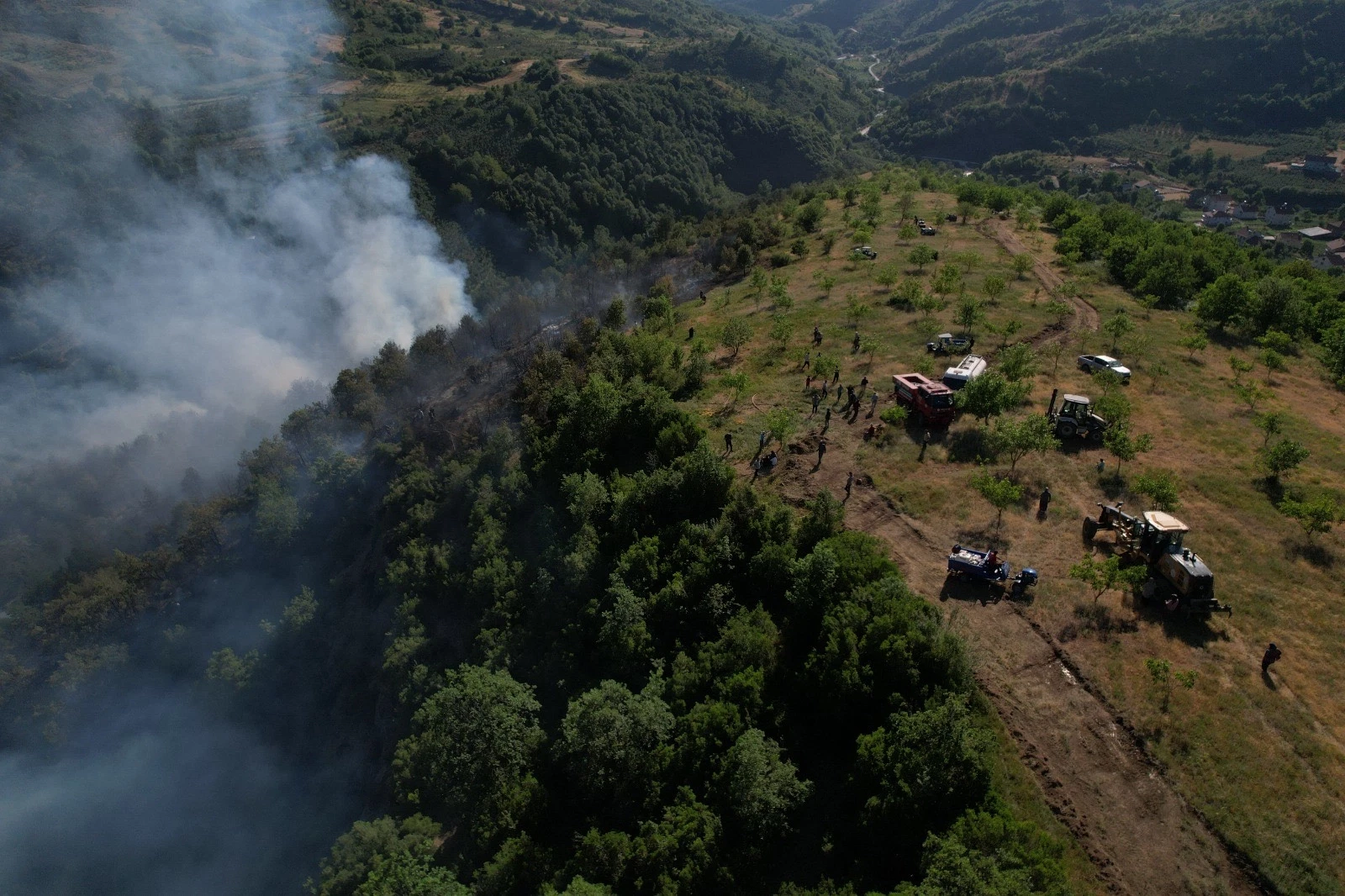 Düzce Yığılca’da orman yangını!