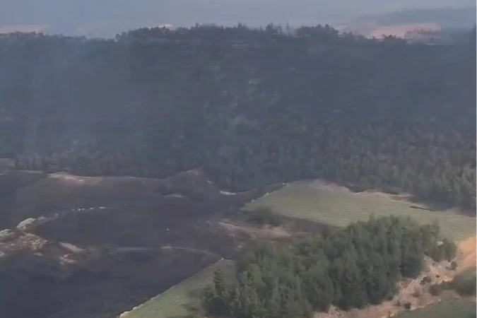 Bolu ve Bilecik’te yangınlar kontrol altında! Sakarya ve Manisa