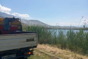 Larva İlaçlaması Tamamlandı, Uçkun İlaçlaması Başlıyor