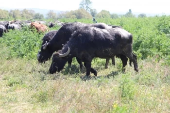 “HEP BİRLİKLE UMUT DOLU ÜRETİM  İÇİN ÇALIŞACAĞIZ”