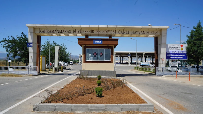 Hayvan Borsası’nda Hazırlıklar Tamamlandı