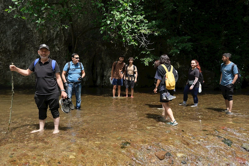 Türkiye’nin yeşil cenneti içinde büyüleyici bir yolculuk: Geriye masal gibi fotoğraflar kaldı