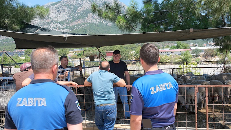 Kurban satış alanlarında denetim