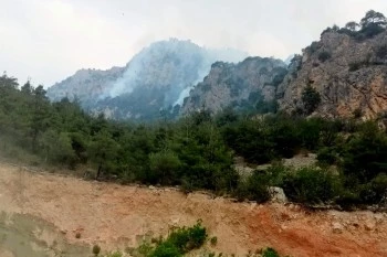 BÜYÜKŞEHİRDEN BİLECİK’TEKİ ORMAN YANGINLARINA DESTEK