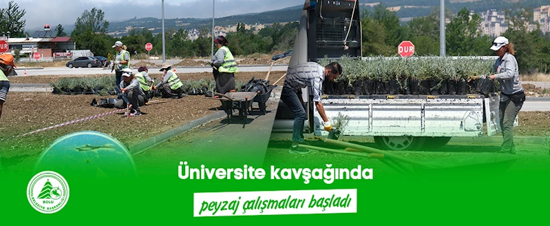 Üniversite kavşağında peyzaj çalışmaları başladı