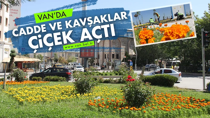 CADDE VE KAVŞAKLAR ÇİÇEK AÇTI