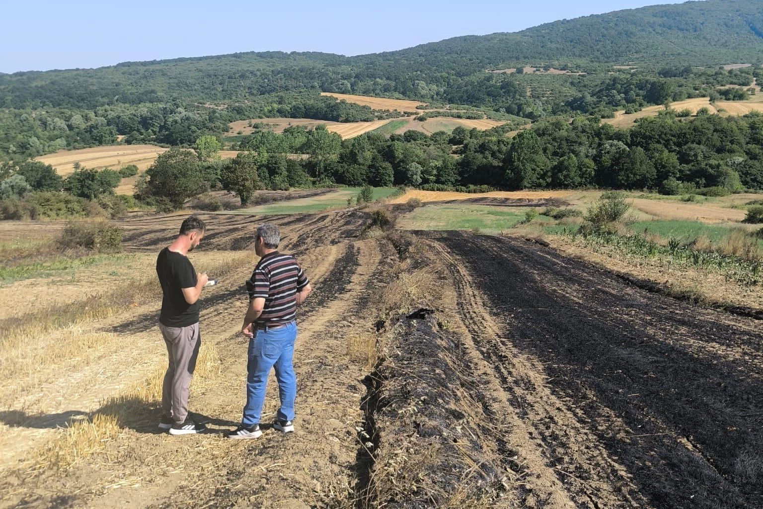 Yangında zarar gören çiftçilere Kocaeli