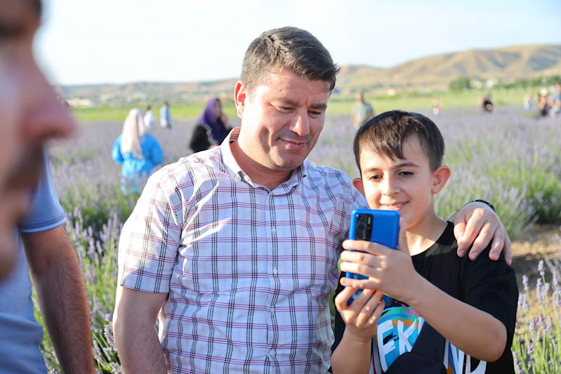 AKSARAY LAVANTA BAHÇESİ ZİYARETÇİLERİNİ BÜYÜLEMEYE DEVAM EDİYOR