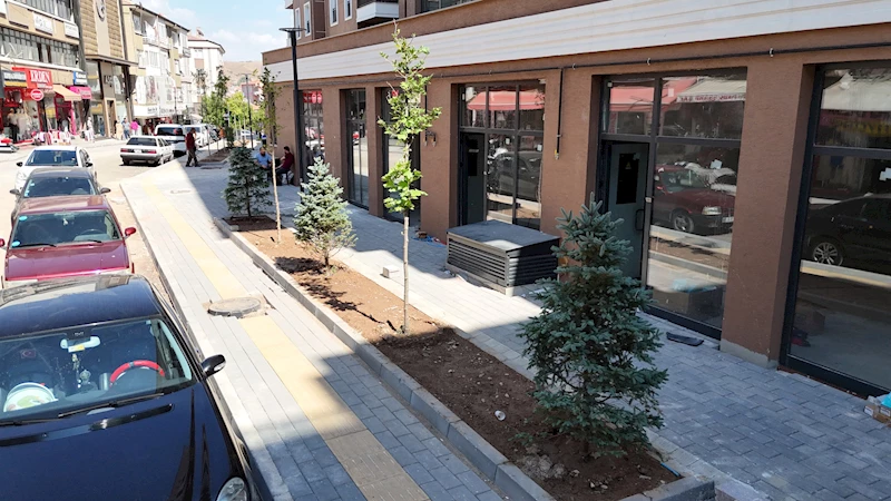 HAMİDİYE KENTSEL DÖNÜŞÜM ALANINDA KALDIRIM VE PEYZAJ ÇALIŞMASI BAŞLADI