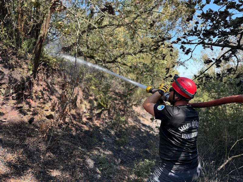 Büyükşehir İtfaiyesi yangın bölgelerinde tüm gücüyle müdahalede