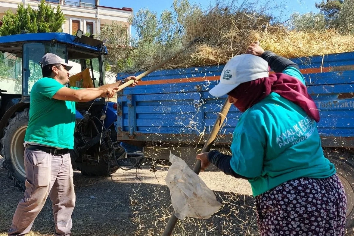 Balıkesir Ayvalık’ta güzellikler, emeğe değer veren insanlarla büyüyor