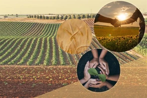 Tarımsal örgütlere yönetmelik ayarı