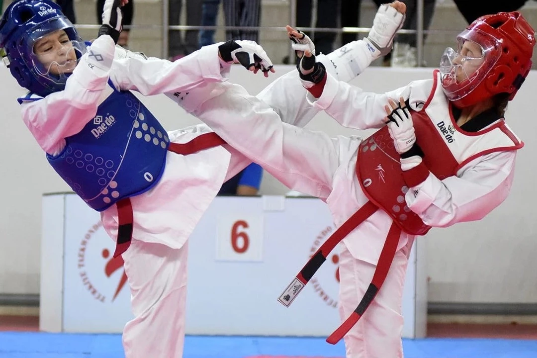 Minikler Taekwondo Şampiyonası Yenişehir’de