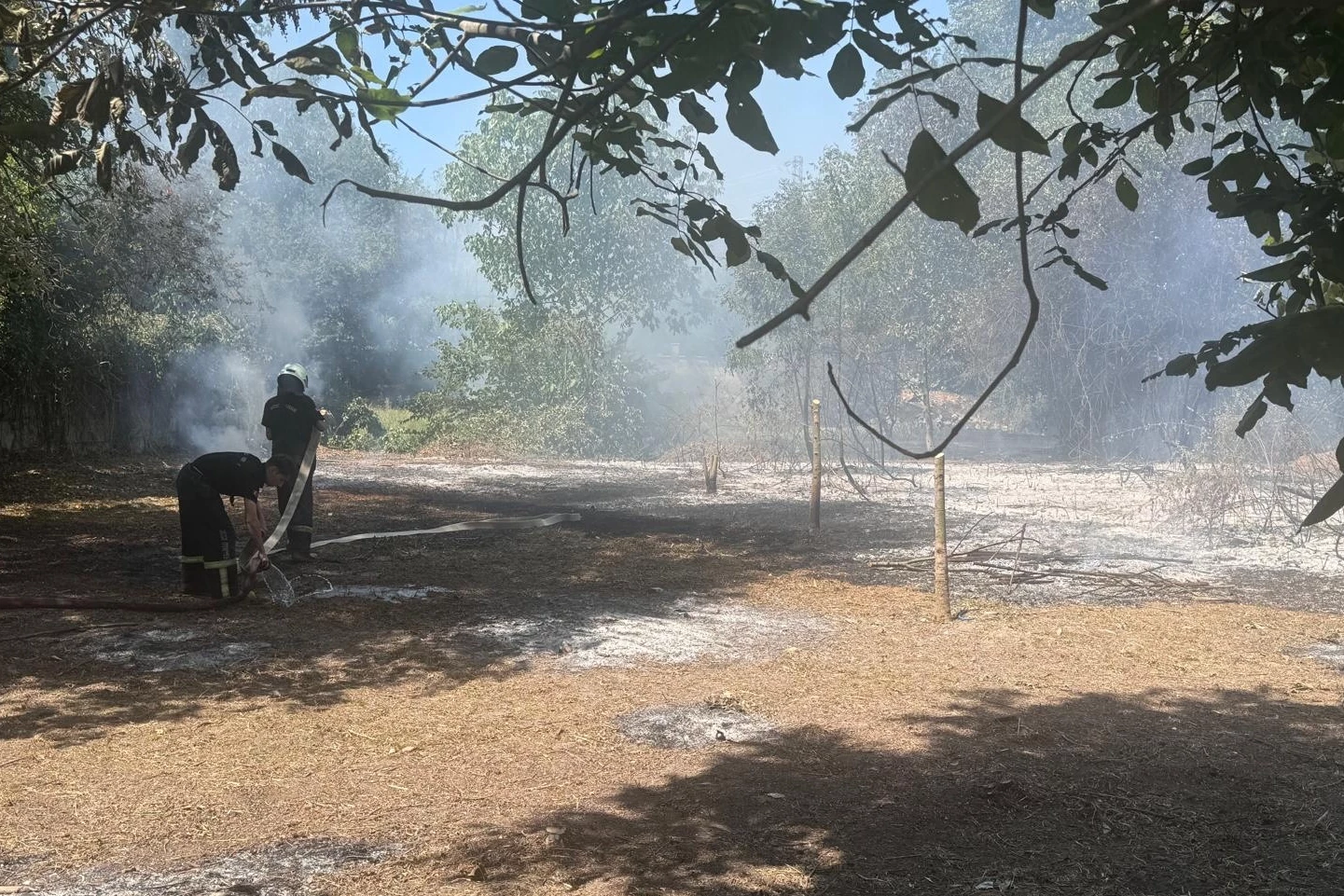 Düzce’de otluk alanda çıkan yangın kontrol altında