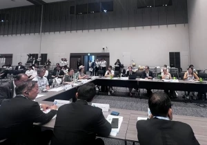 Eşbaşkan Serra Bucak: Savaş karşıtı dayanışmayı güçlendirmeliyiz