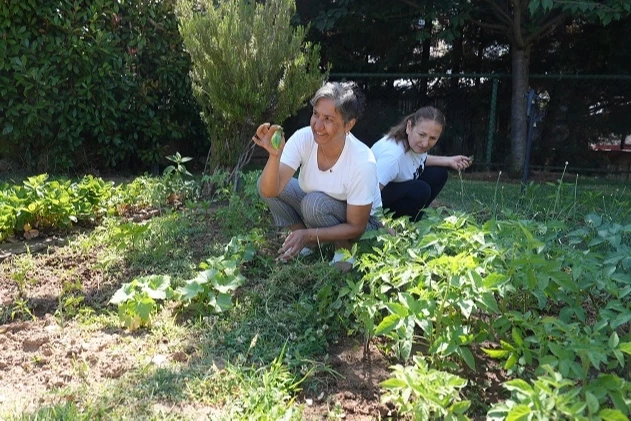 Altın Yıllar Yaşam Merkezi