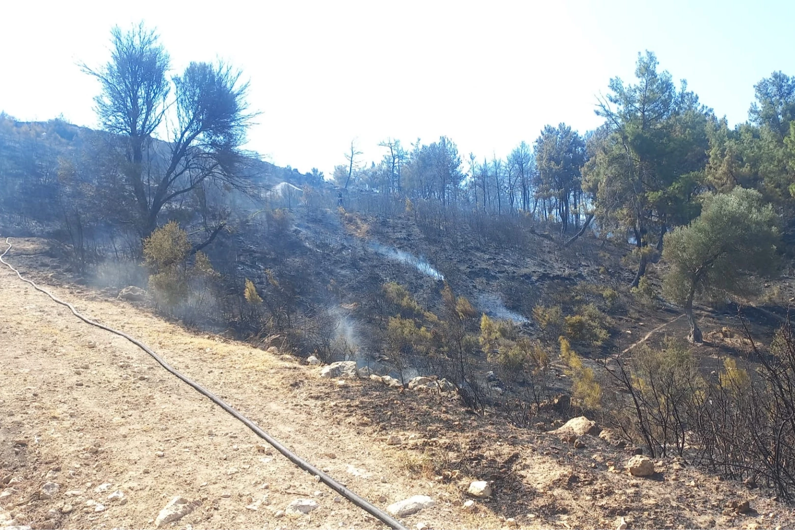 Buca ve Aliağa’da çıkan yangınlar kontrol altında