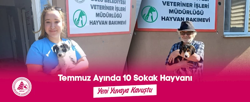 Temmuz Ayında 10 Sokak Hayvanı Yeni Yuvaya Kavuştu