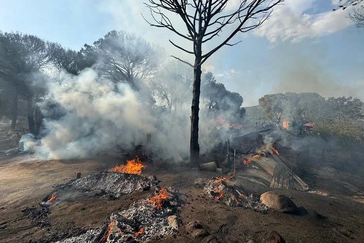 İzmir İtfaiyesi Bergama’da alevlerle mücadele ediyor