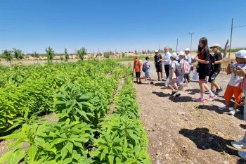 ÇOCUKLAR TAŞLIK ÇİFTLİK KÖYÜNDE DOĞAYLA İÇ İÇE UNUTULMAZ BİR YAZ GEÇİRİYOR