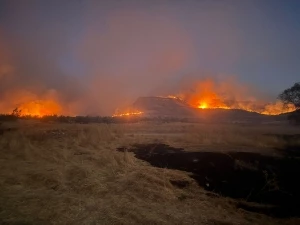 DBB ekipleri üç ilçeyi kapsayan yangına müdahale ediyor