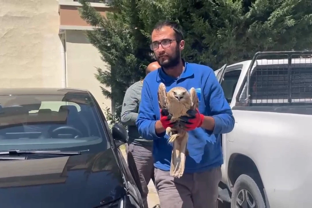 Kayseri Büyükşehir