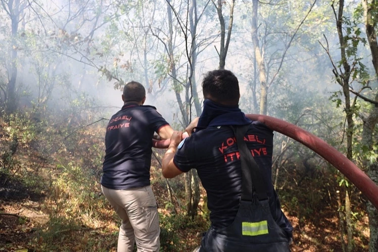 Kocaeli Büyükşehir