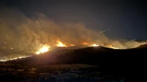 Lice ve Hani’deki yangın söndürüldü