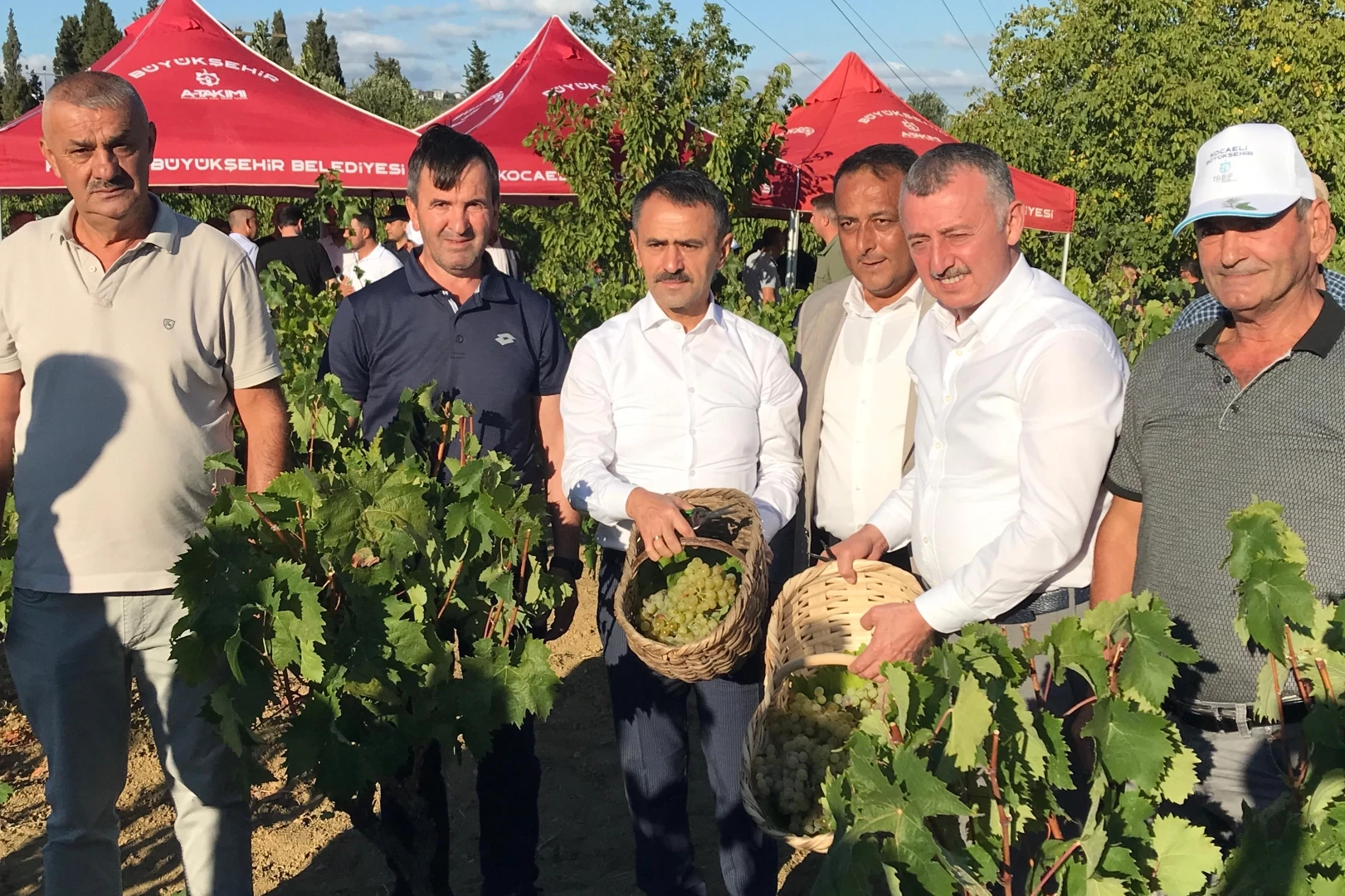 Kocaeli’de üzüm hasadı coşkuyla başladı
