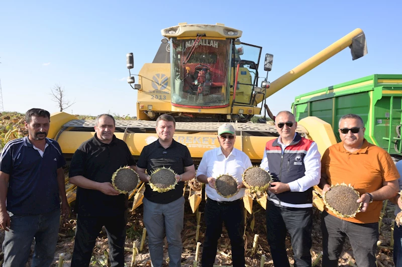 VALİ KUMBUZOĞLU VE BAŞKAN DİNÇER, AYÇİÇEK HASADINI BAŞLATTI