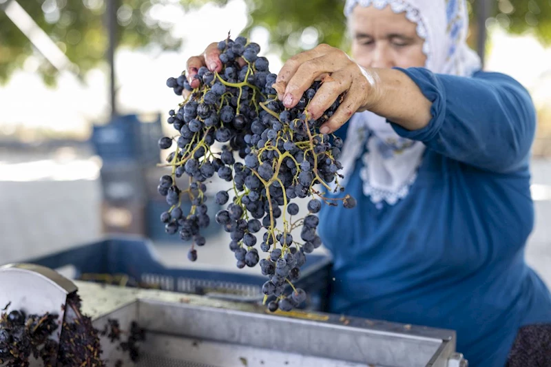 Tarsus Sucular Mahallesi’ne Üzüm Sıkma Makinesi Teslim Edildi