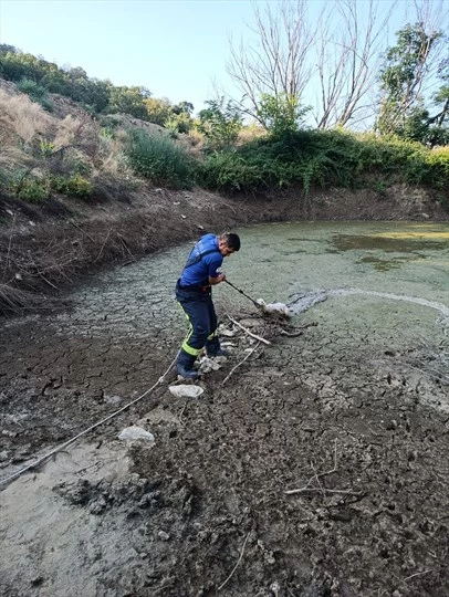 Büyükşehir İtfaiye’den gönülleri ısıtan kurtarma