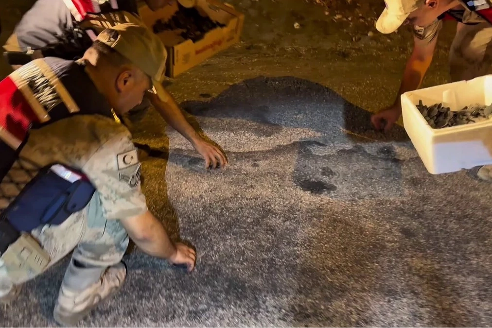 Samandağ’da yavru 