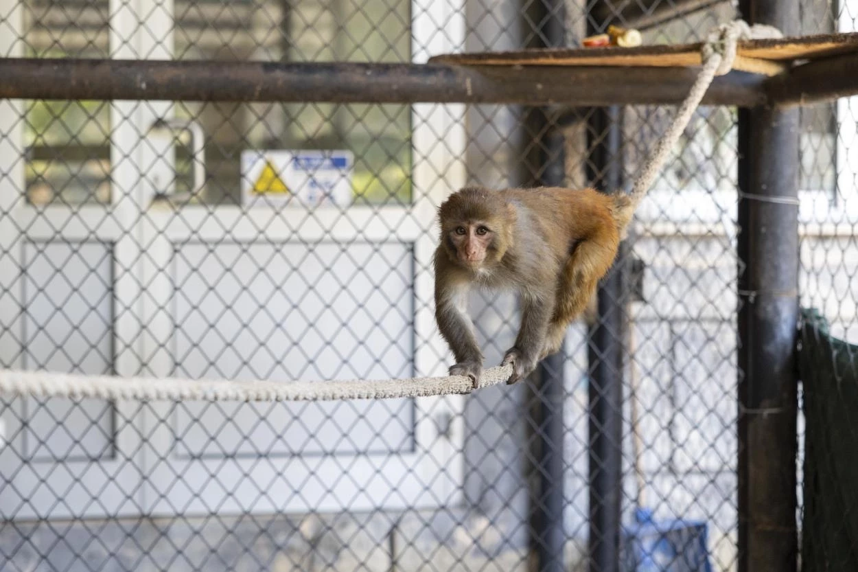 Antalya Döşemealtı’na 123 kilometrelik dev altyapı yatırımı