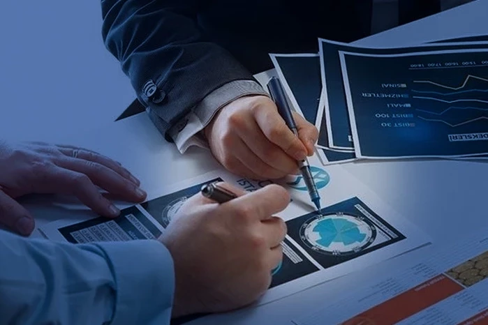 Yerel Kalkınma Hamlesi